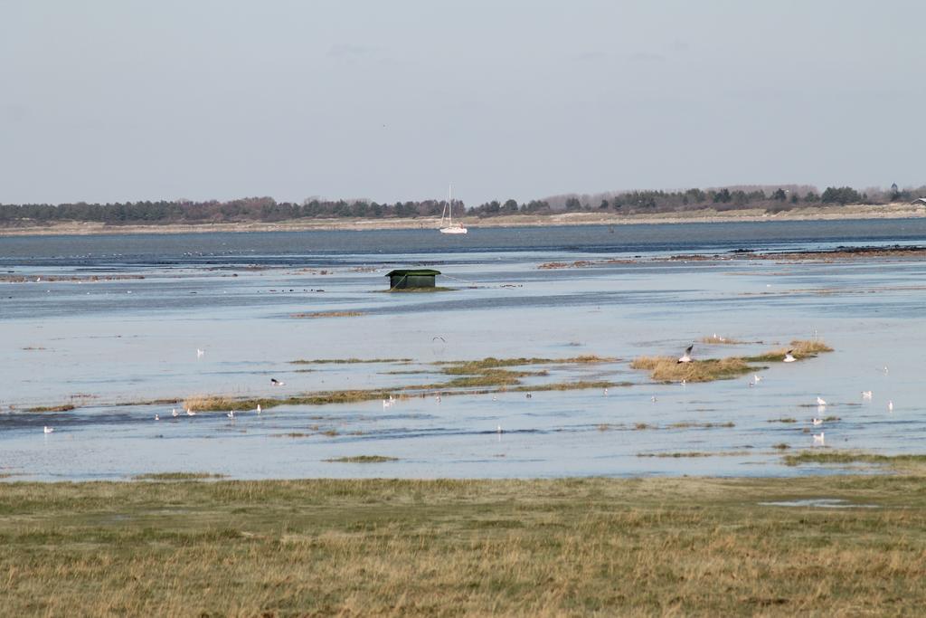 Camping De La Baie-Baie De Somme-Sites Et Paysages Pendé Εξωτερικό φωτογραφία